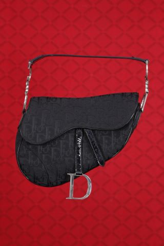Saddle bag
