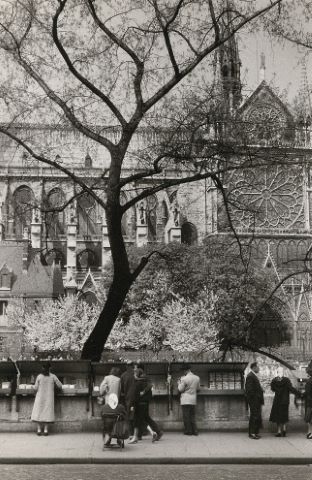 Paris Île Saint-Louis & Paris Bouquinistes [2 photographies]