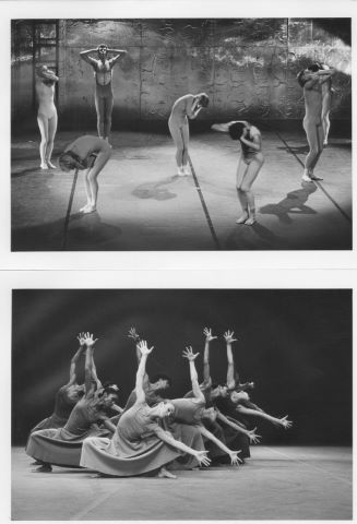 Ensemble de photographies [+ de 40]
