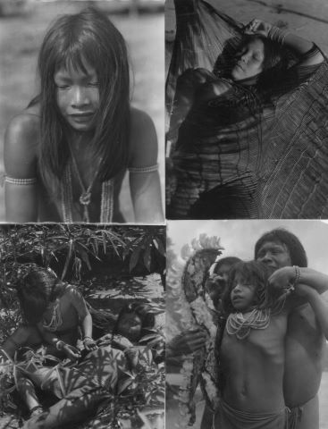Dominique Darbois Expédition Guyane-Tumuc-Humac...