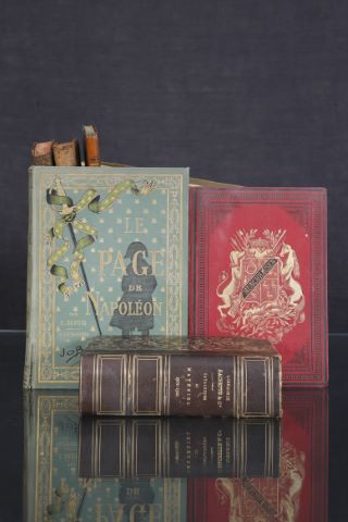 Mannette de livres