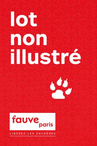6 livres illustrés anciens pour enfants