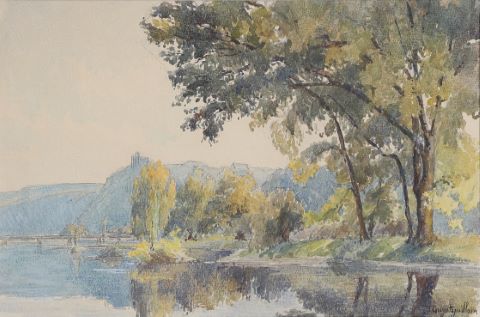 Paysage boisé en bord de fleuve