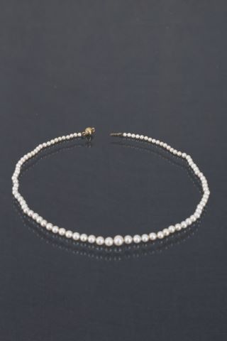 Collier choker