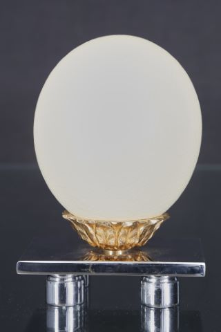 Œuf d’autruche