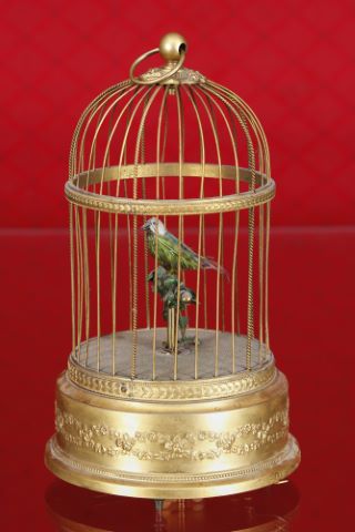 Cage à oiseau chanteur