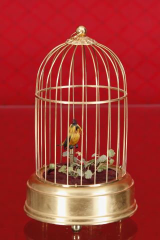 Cage à oiseau chanteur