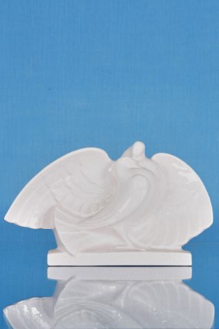 Couple de pigeons