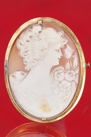 Broche camée
