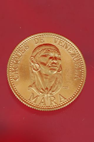 Caciques de Venezuela