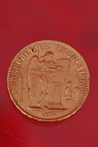 Pièce de 20 francs français