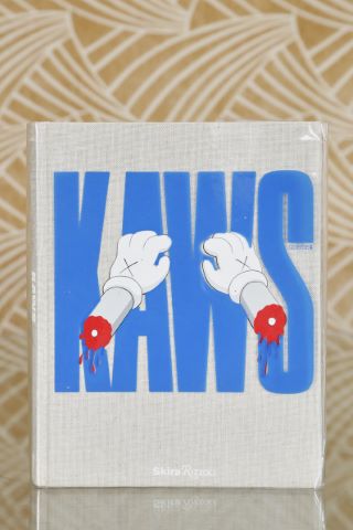 Kaws Book