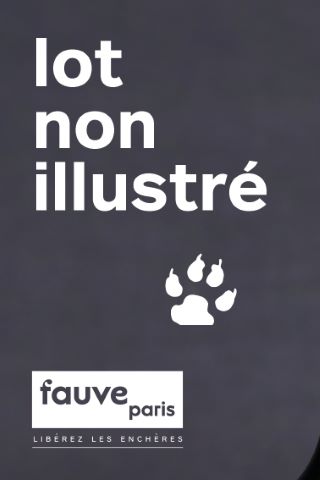 6 livres d’art