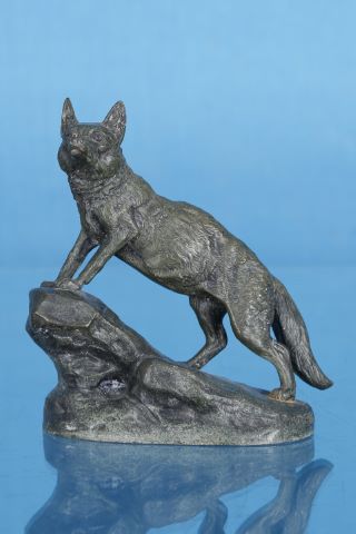 Renard