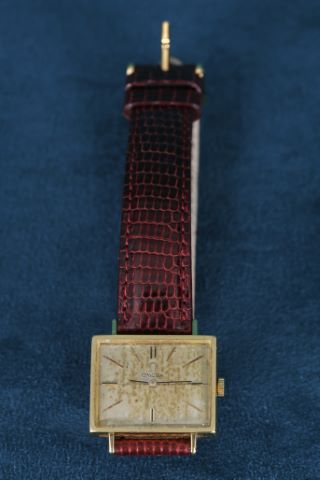 Montre bracelet