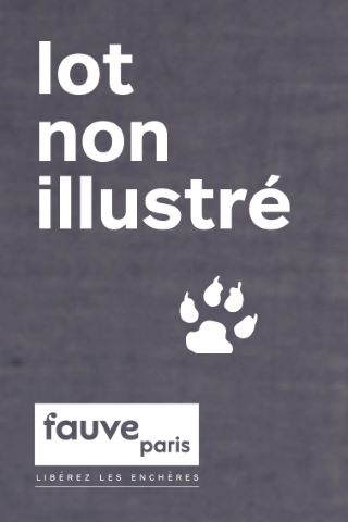 Ensemble de 12 gravures anciennes