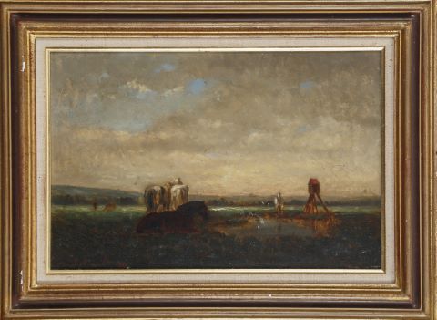 Chevaux dans un pré
