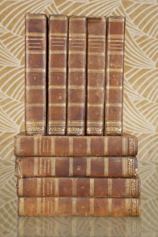 Dictionnaire pittoresque d'histoire naturelle et des phénomènes de la nature