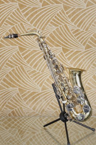 Blessing Elkarlt (Indiana, États-Unis) Saxo alto