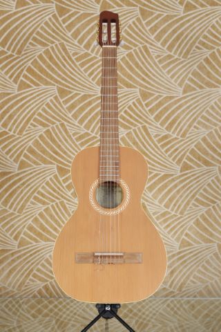Guitare Folk dite guitare de femme