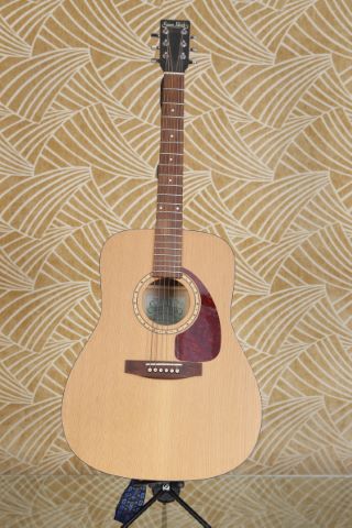 Guitare Folk Western model S&P 6 cédar