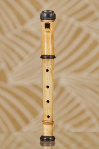 Flageolet d’oiseau