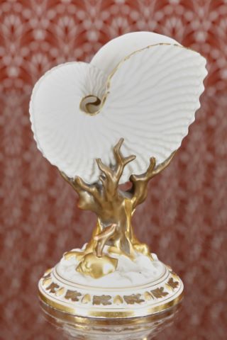Coupe coquillage