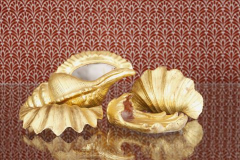 Ensemble de 4 coquillages