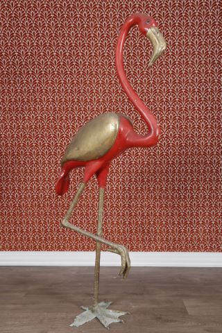 Flamant rose
