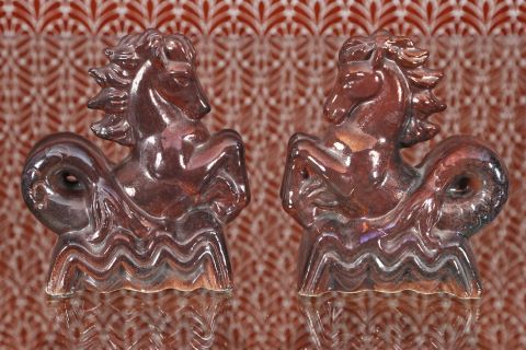 Paire d’hippocampes