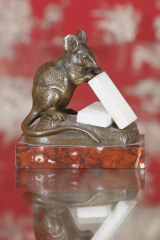 Souris dégustant des morceaux de sucre