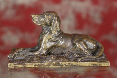 Chien de meute assis