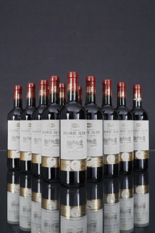Château Florie Aude, Bordeaux 14 bouteilles