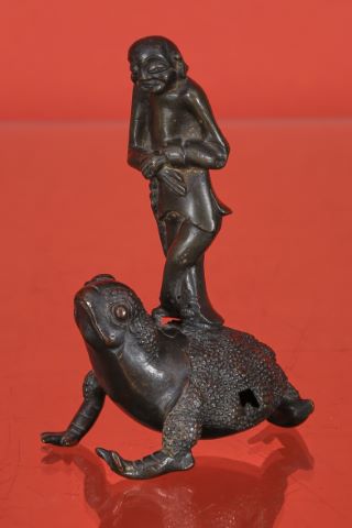 Sage sur une grenouille