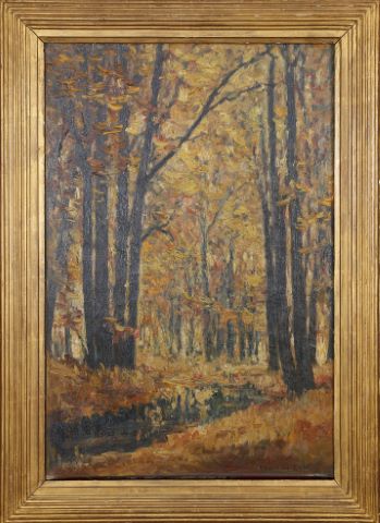 Sous-bois