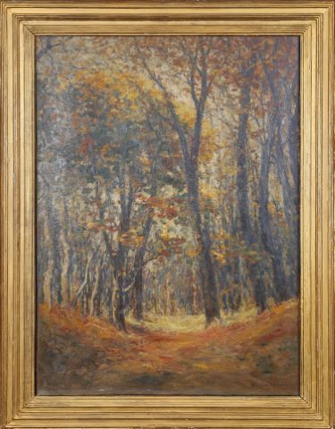 Sous-bois