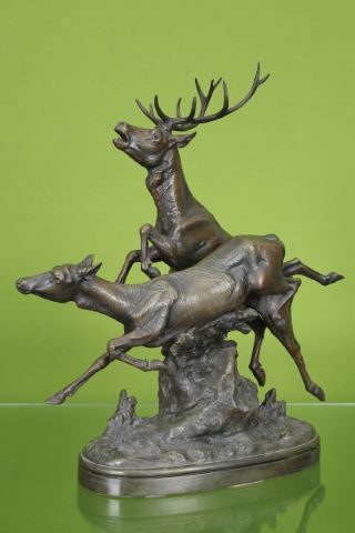 Cerf et biche