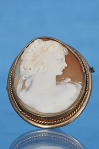 Grande broche camée coquille