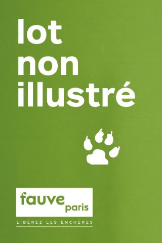 Paire de vitrines de style Louis XVI