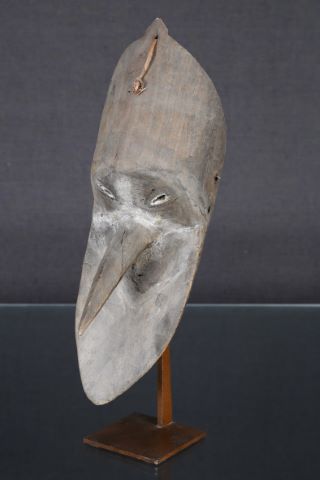 Masque moustique
