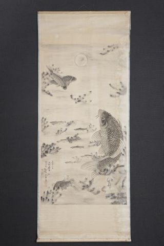 Poissons