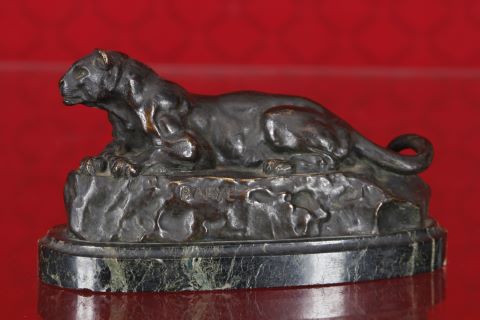 Lionne couchée