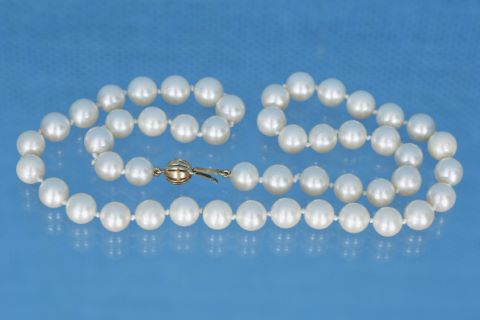 Collier choker