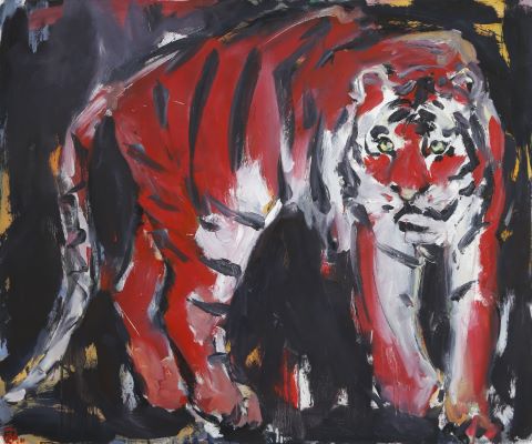 Tigre