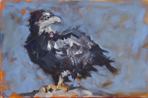 L’Aigle