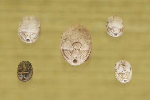 5 scarabées