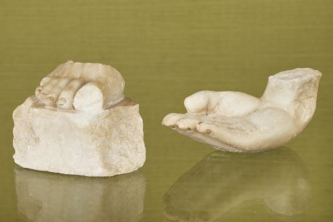 1 fragment de main + 1 fragment de pied