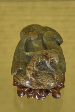 Phénix couché
