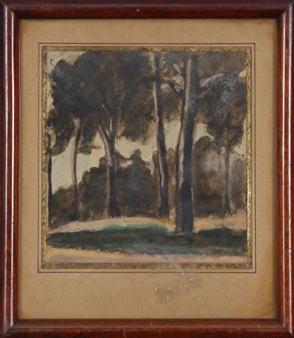 Vue de forêt