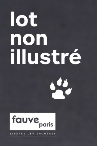 14 pièces de 10 francs français à l’effigie de Napoléon…